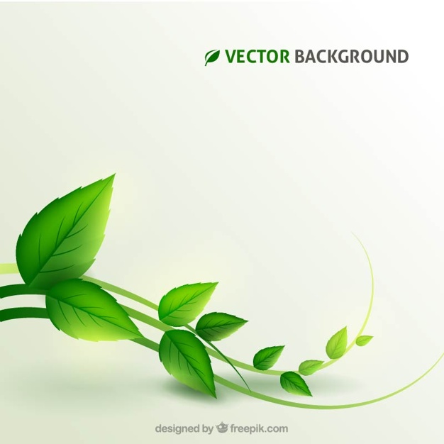 626x626 Plant Background Vector Free Download