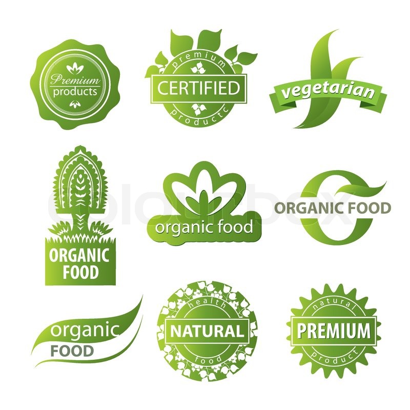 800x800 Plant Ecological Logo Stock Vector Colourbox