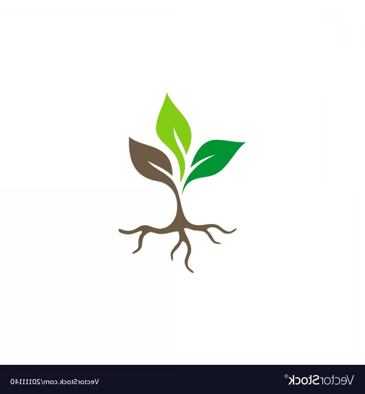 1200x1296 Seed Plant Root Logo Vector Geekchicpro