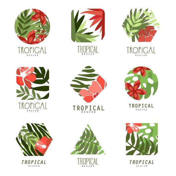 600x598 Tropical Plant Logos Vector Free Download