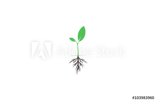 500x324 Plant Logo