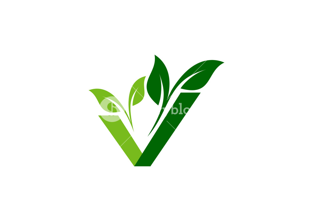 1000x707 V Letter Green Plants Logo Symbol Icon Vector Design Royalty Free