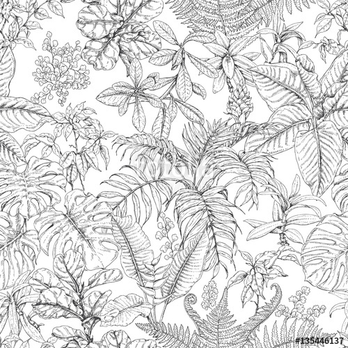 500x500 Hand Drawn Tropical Plants Pattern Stock Image And Royalty Free