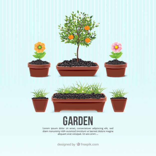 Flowerpot Vectors, Photos And Free Download 626x626 Flowerpot Vectors, Photos And Free Download