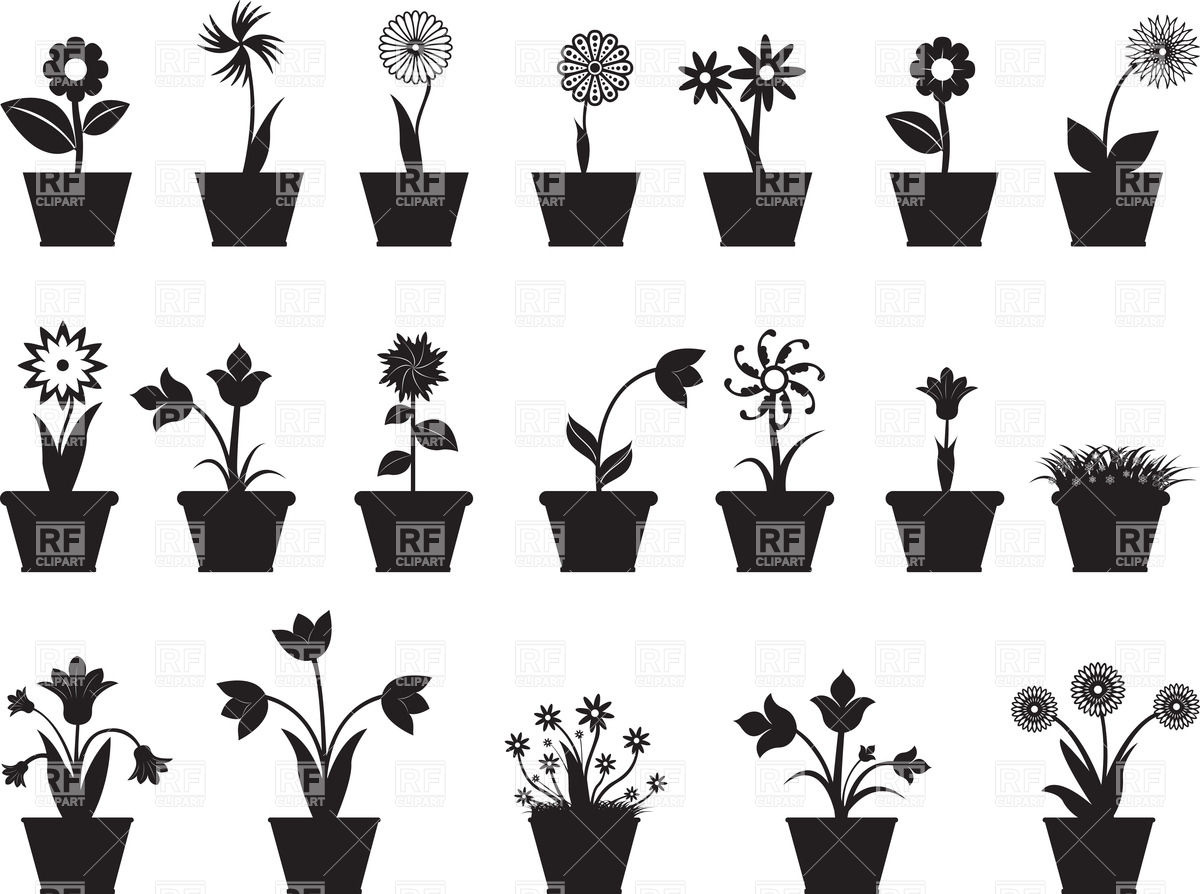Flowers In Pots 1200x894 Flowers In Pots