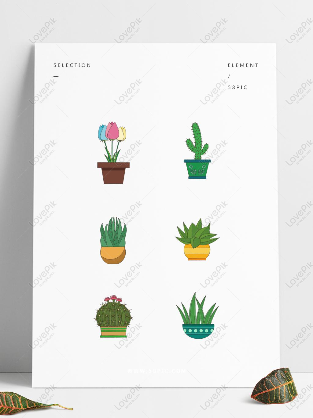 Free Images Download Plant Flower Element Green Plant Potted 1024x1369 Free Images Download Plant Flower Element Green Plant Potted