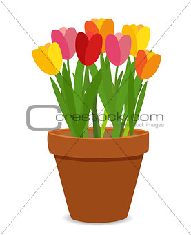 Image Spring Tulip Flowers In Flower Pot Vector 277x340 Image Spring Tulip Flowers In Flower Pot Vector