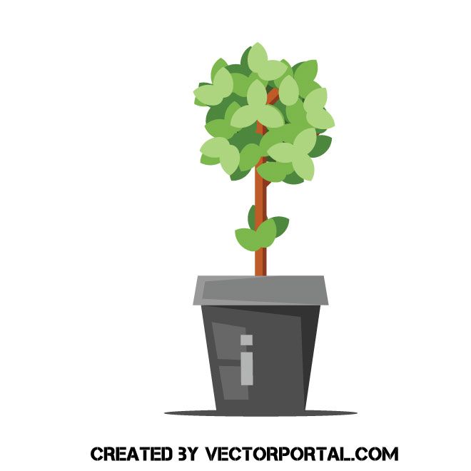 Office Plant In Pot 660x660 Office Plant In Pot