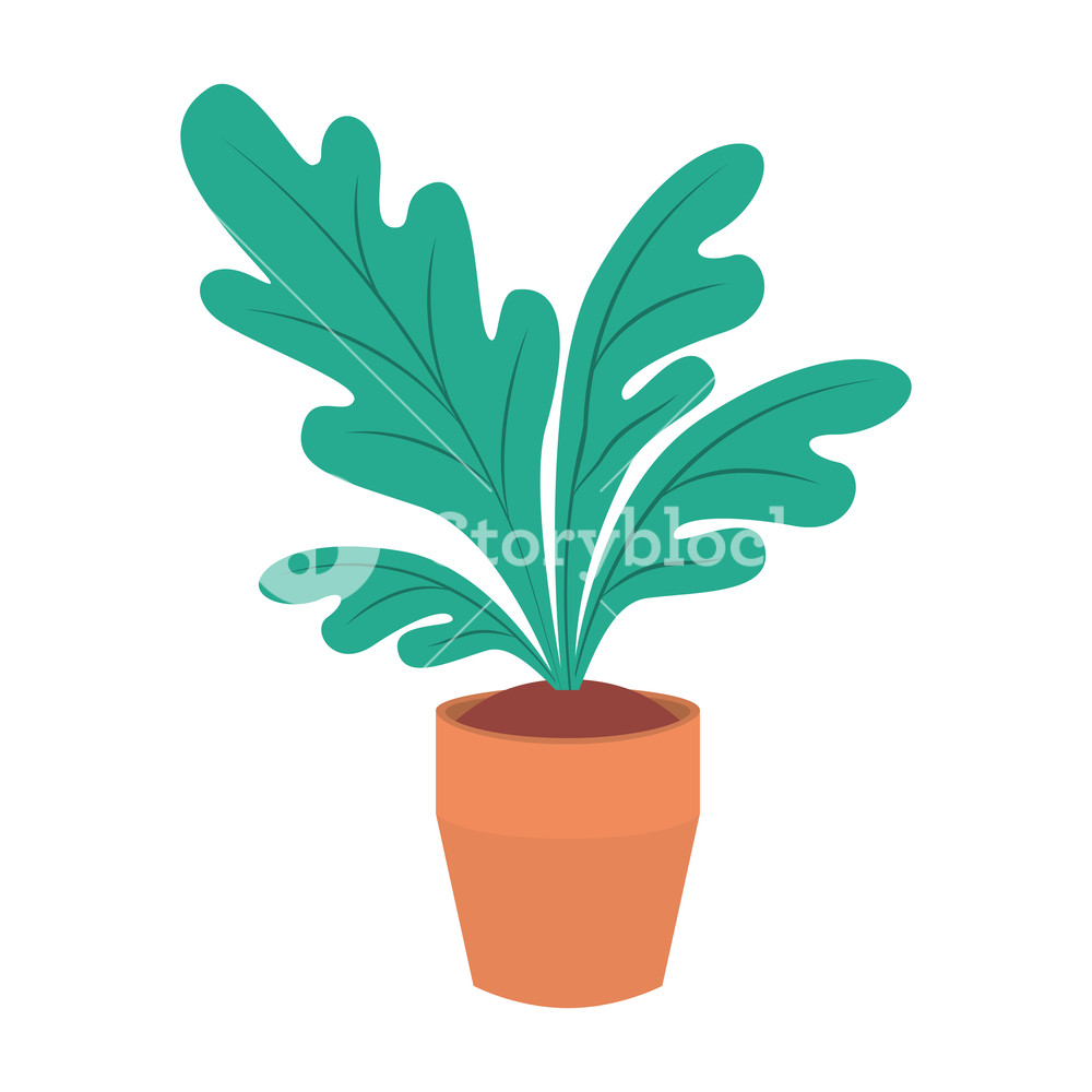 House Plant Pot Isolated Icon Vector Illustration Desing Royalty 1000x1000 House Plant Pot Isolated Icon Vector Illustration Desing Royalty