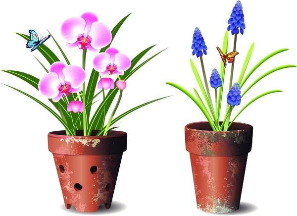 Pot Flowers Vector 600x436 Pot Flowers Vector