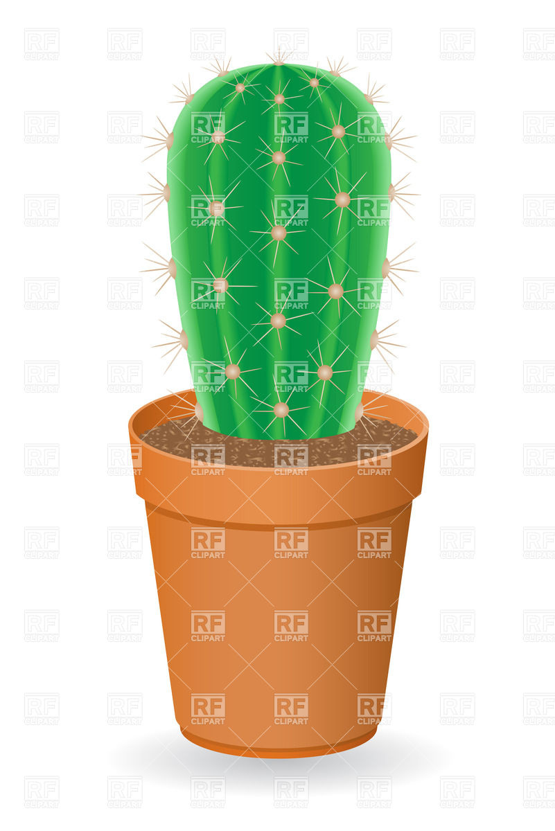 Domestic Cactus In Flower Pot Vector Image Of Plants And Animals 801x1200 Domestic Cactus In Flower Pot Vector Image Of Plants And Animals