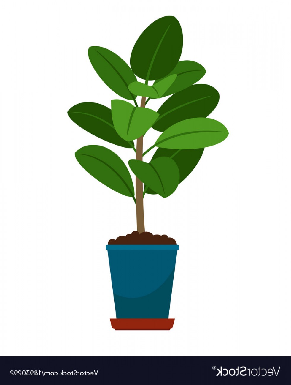 Ficus House Plant In Flower Pot Vector Newwaysys 981x1296 Ficus House Plant In Flower Pot Vector Newwaysys