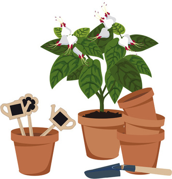 Flower Pots Vector Free Vector Download 355x368 Flower Pots Vector Free Vector Download