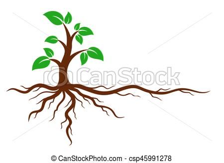 450x327 Green Tree With Roots Vector