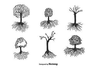 310x217 Icon Land Roots Vector Free Graphics Uihere