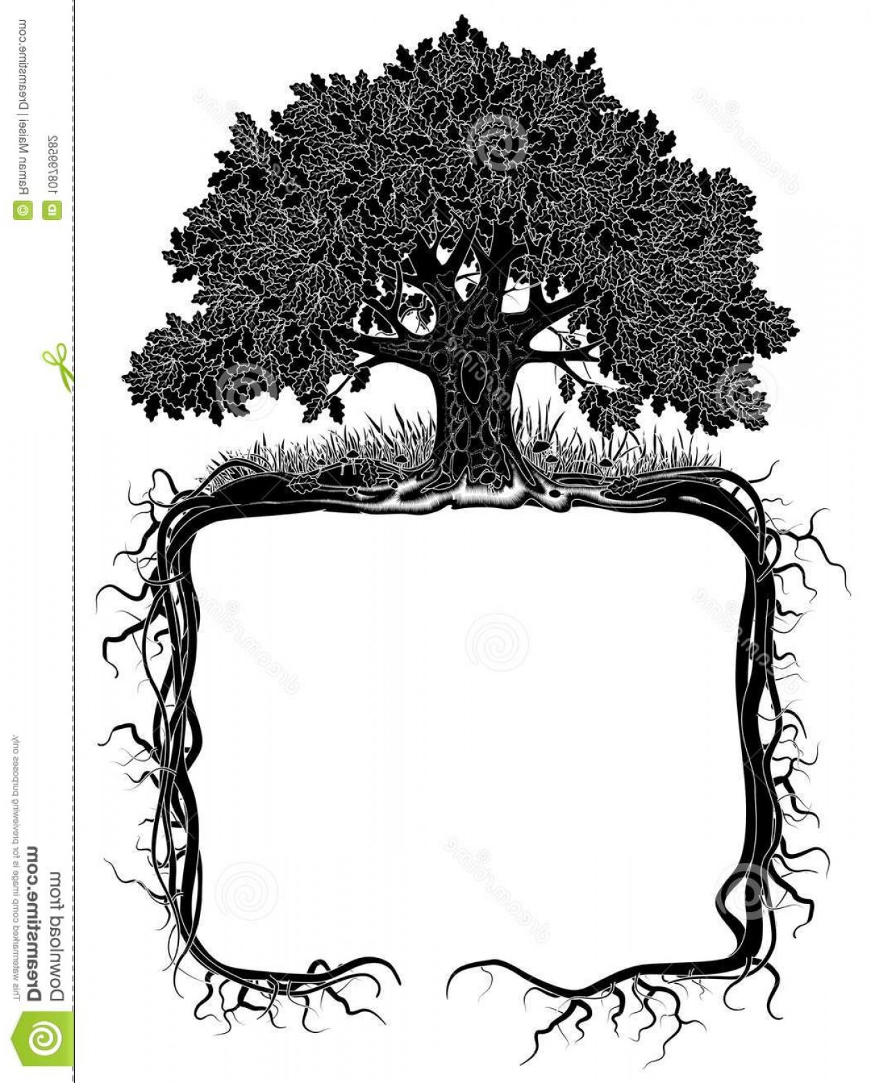 1255x1560 Oak Tree Roots Vector Studiogrfx