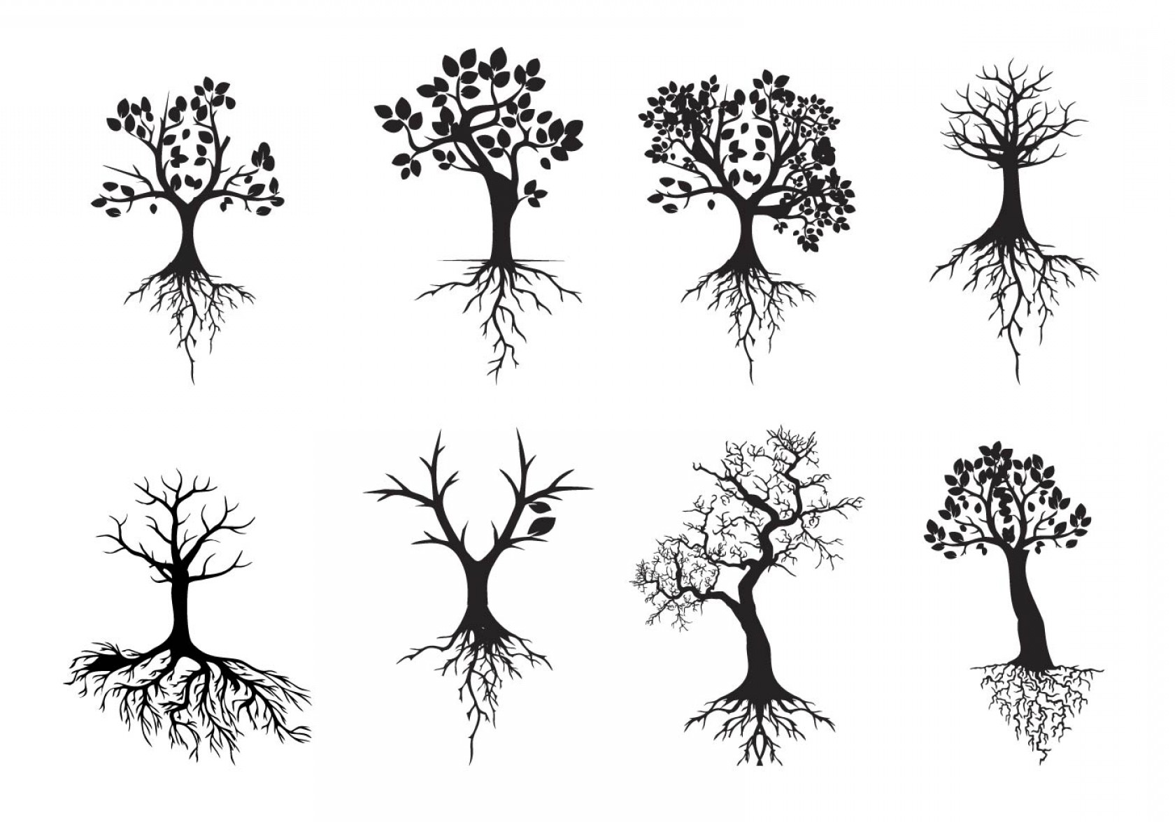 1680x1176 Black Silhouettes Tree With Roots Vector Soidergi