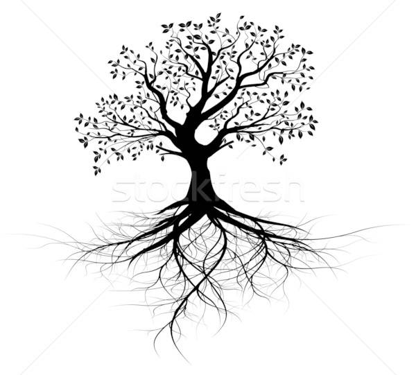 600x541 Roots Stock Vectors, Illustrations And Cliparts Stockfresh