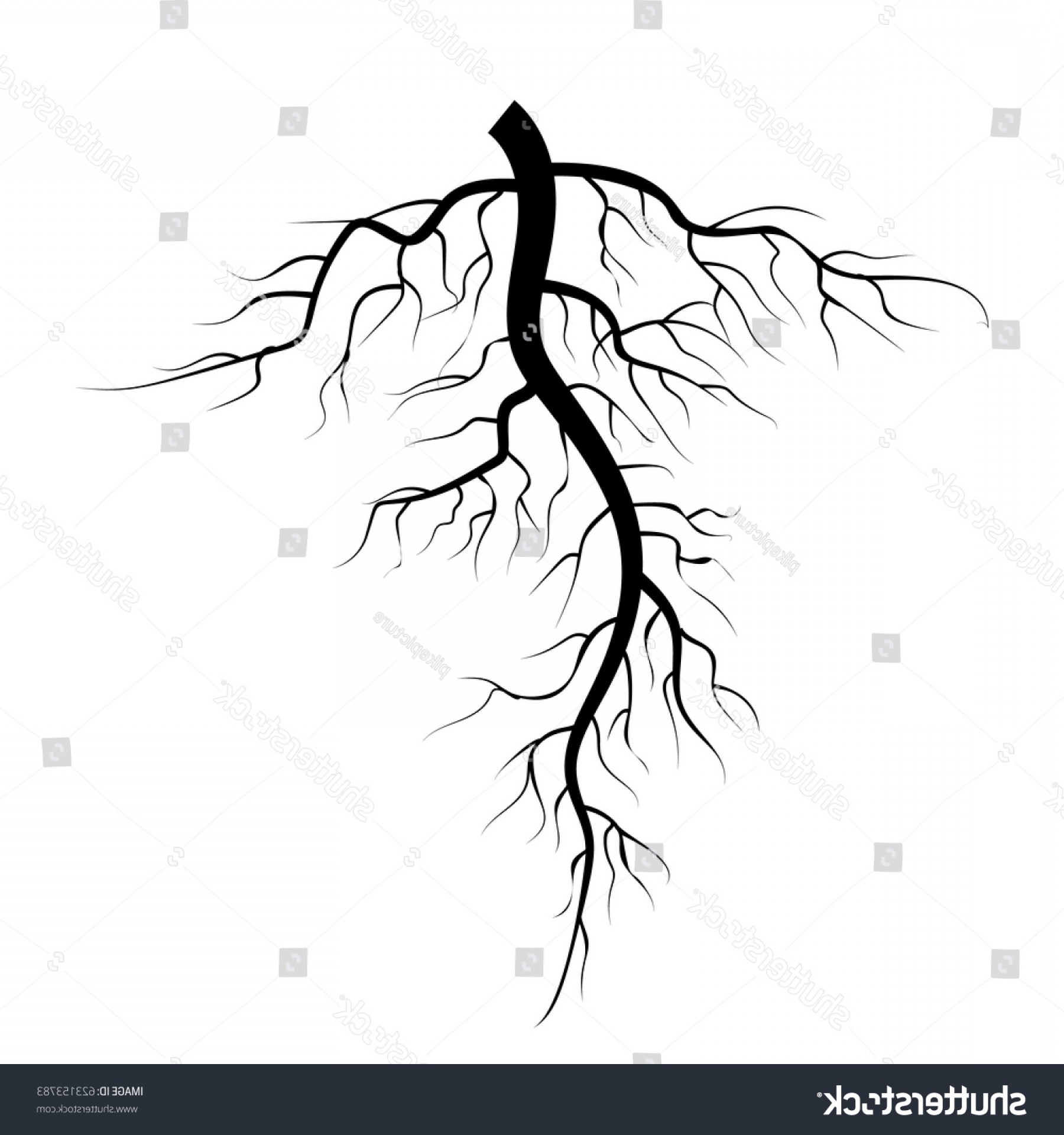 1800x1920 Tree Root Vector Birds Hoodamathrun