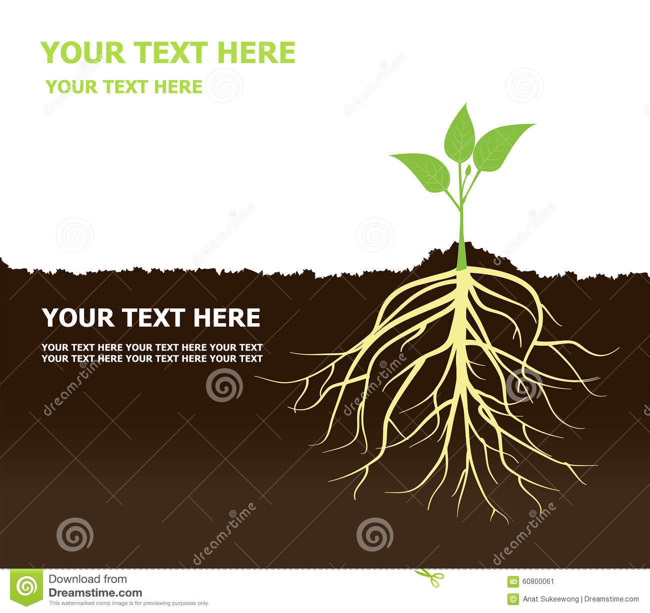 1300x1227 Tree With Roots Plant Roots Soil Fertile Foundations New Logo