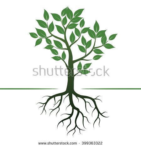 450x470 Tree Roots Logo Color Tree Roots Vector Illustration Stock