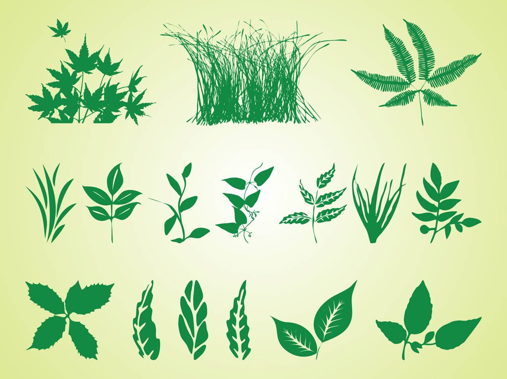 1024x765 Plant Silhouettes Free Graphics Vector Art Graphics