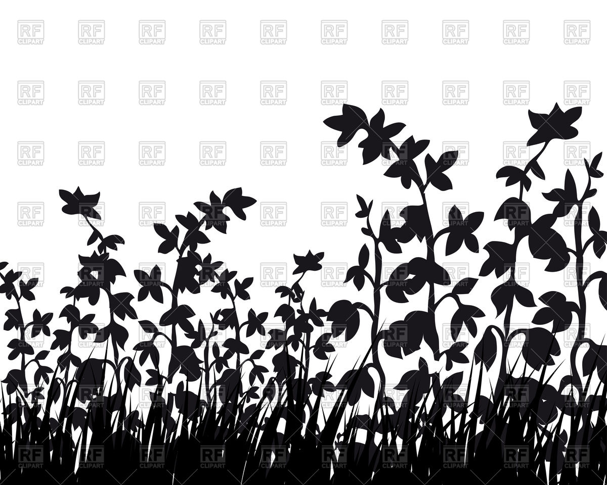 1200x960 Plant Silhouette Background Vector Image Of Plants And Animals