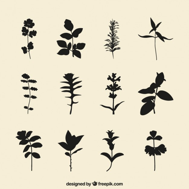 626x626 Plants Silhouettes Vector Free Download