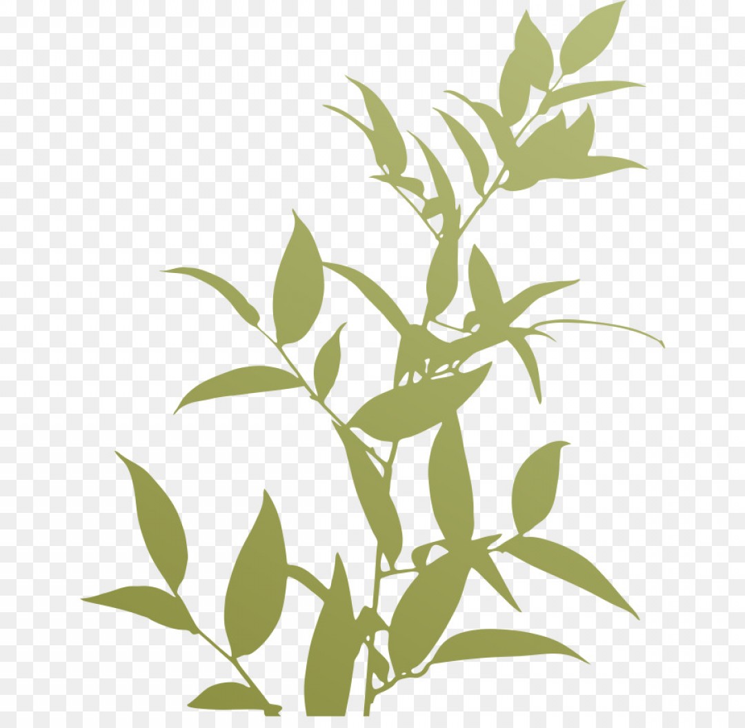 1080x1056 Png Plants Trivia Silhouette Plant Silhouette Soidergi