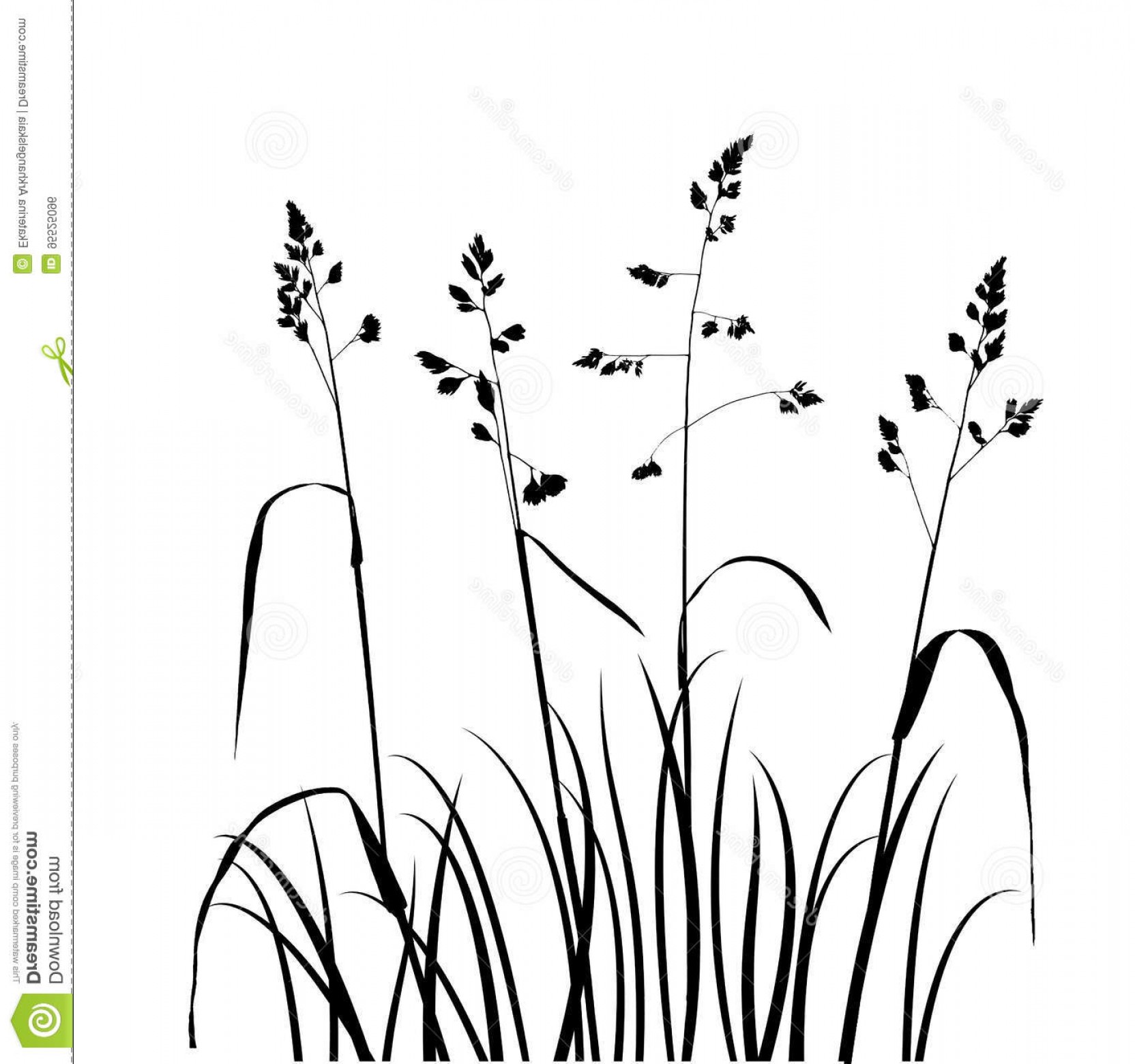 1664x1560 Stock Illustration Vector Wild Cereal Plants Background Black