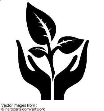 335x355 Download Hands Holding Plant Silhouette