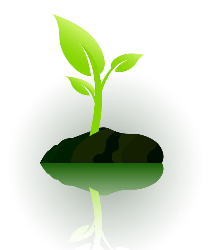 Free Vector Plant 690x828 Free Vector Plant