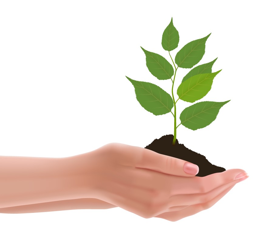 How To Vector Hands Holding A Plant In Adobe Illustrator 850x765 How To Vector Hands Holding A Plant In Adobe Illustrator