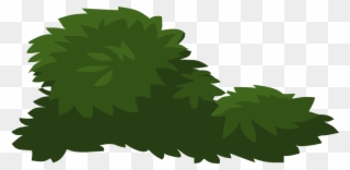 Jungle Plants Cliparts 320x156 Jungle Plants Cliparts