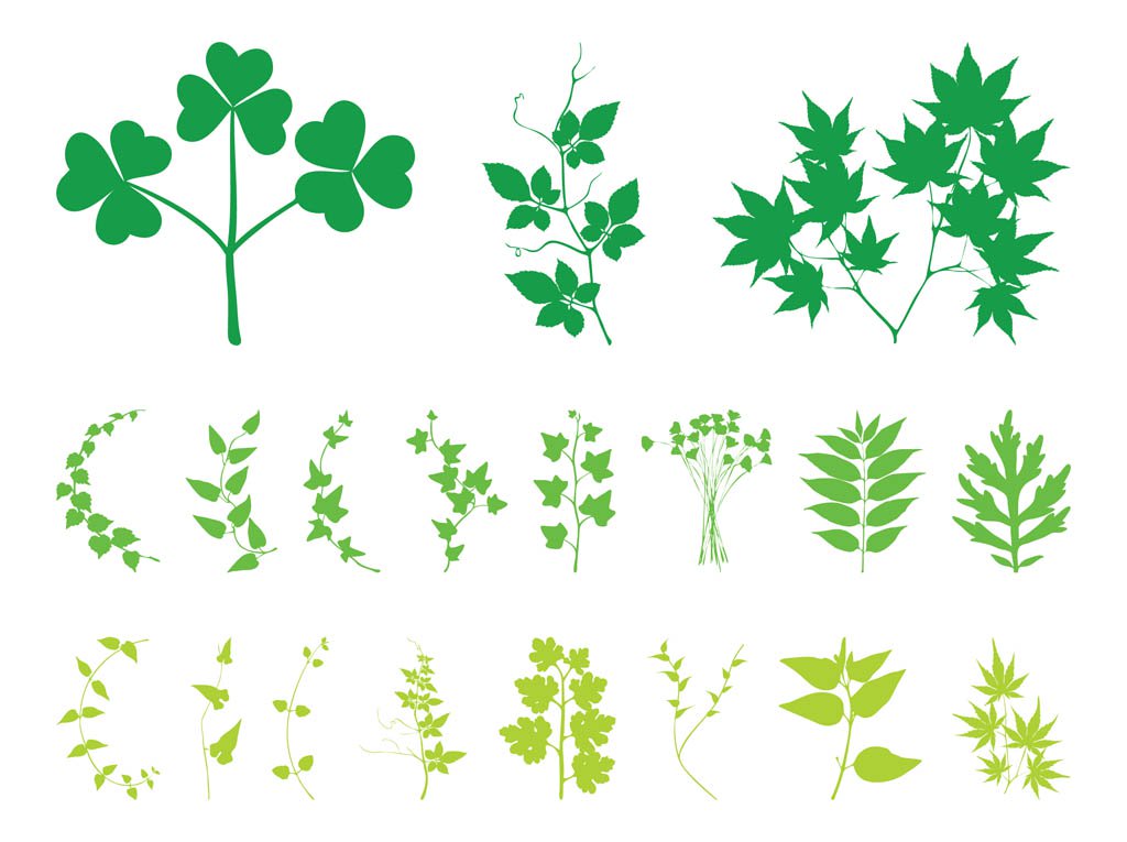 Plant Leaves And Branches Vector Art Graphics 1024x765 Plant Leaves And Branches Vector Art Graphics