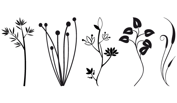 Plant Vector Art 600x350 Plant Vector Art