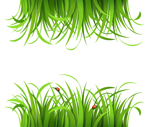 Plant And Spring Design Vector Free Download 500x423 Plant And Spring Design Vector Free Download