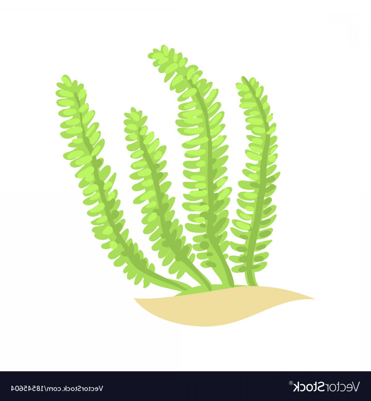 Vector Underwater Plants Lamaison 1200x1296 Vector Underwater Plants Lamaison