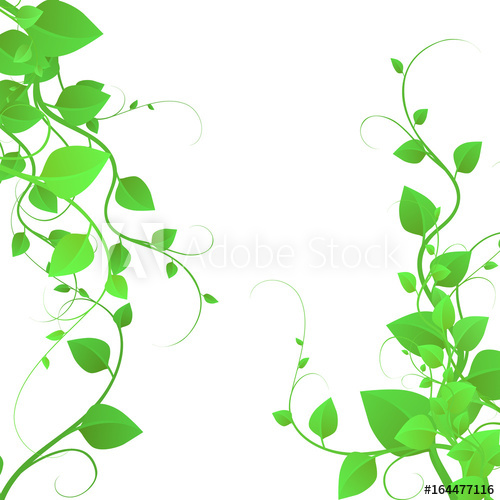 Background With Beautiful Foliage, Branches With Leaves, Creeping 500x500 Background With Beautiful Foliage, Branches With Leaves, Creeping