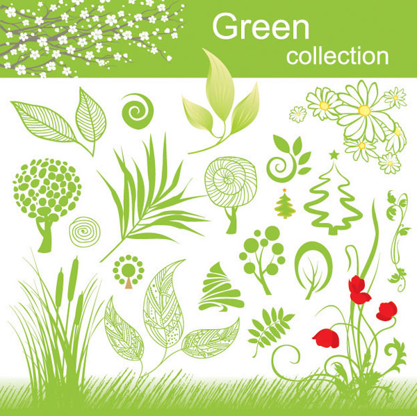 600x599 Free Vector Plant