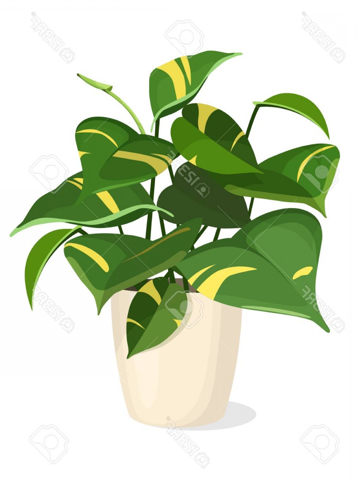 1170x1560 Indoor Plant Vector Hoodamathrun