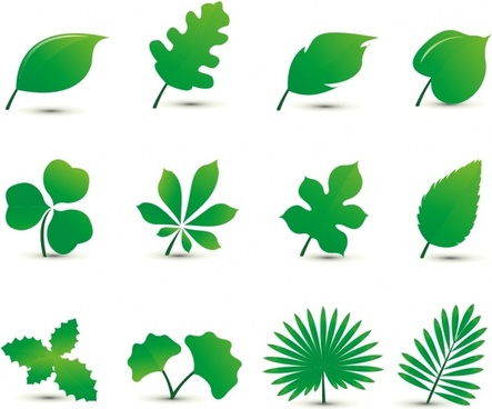 443x368 Leaf Free Vector Download