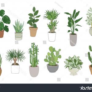300x300 Set House Indoor Plant Vector Cartoon Doodle Potted Plants