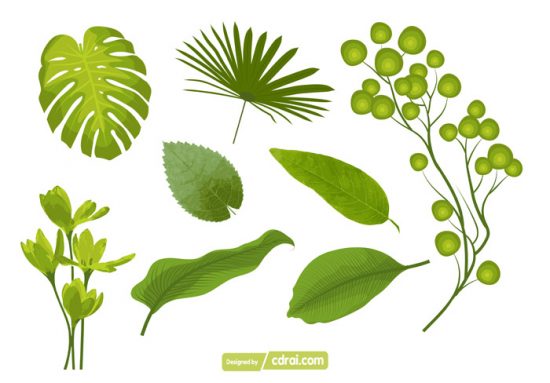 550x383 Set Of Leaf Vector Free Download Free Download