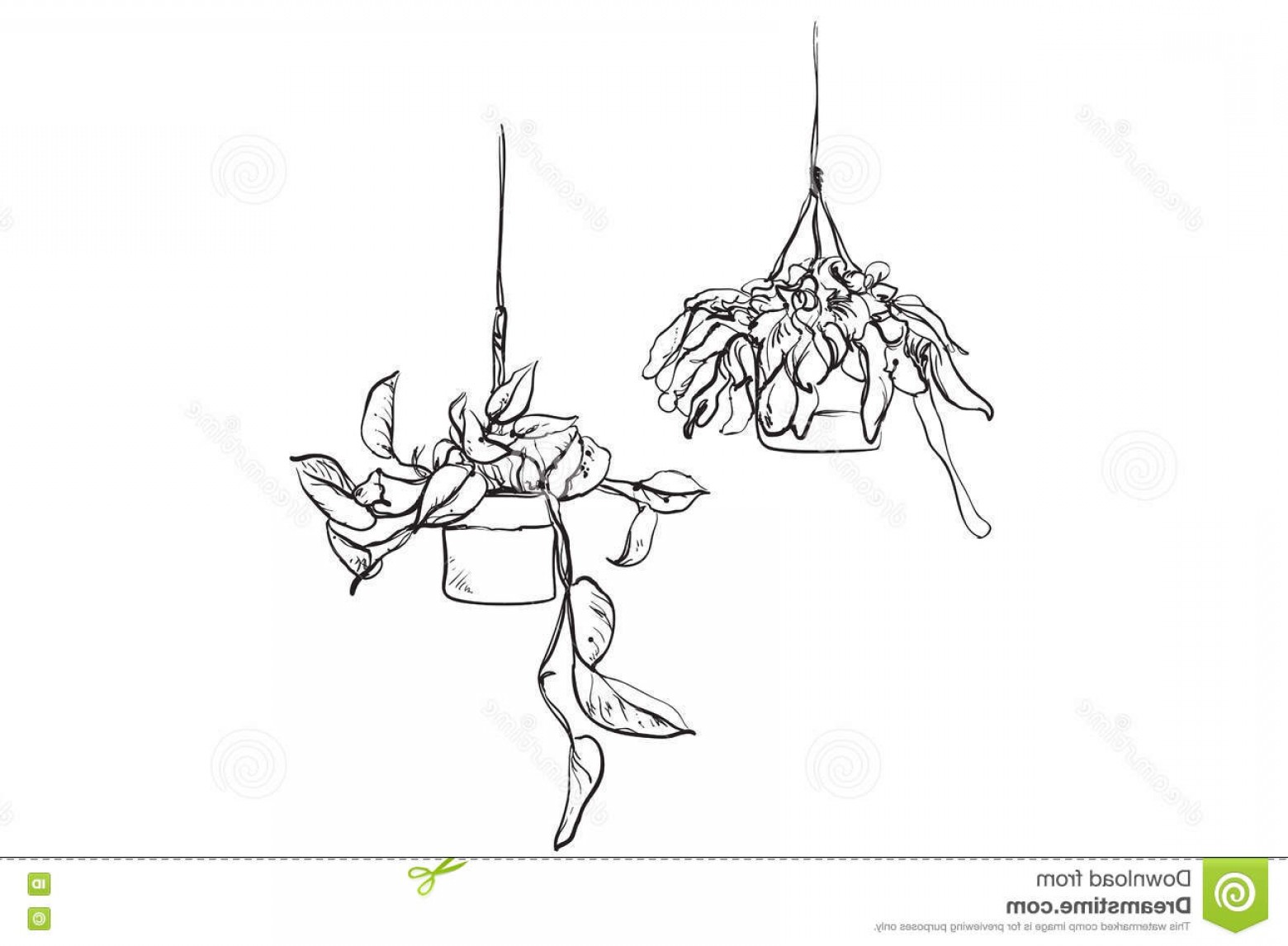 1560x1146 Stock Illustration Pot Plants Set Flowers Pots Drawn Black Line