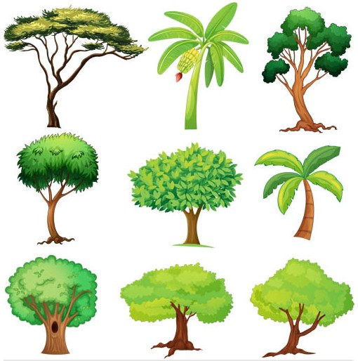510x514 Trees Graphic Vector Free Download