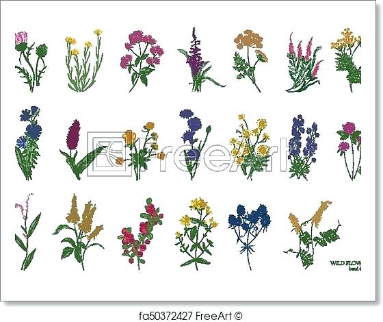 560x470 Vector Flowers And Plants
