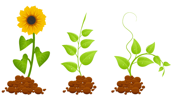 600x350 Free Eco Germinal Plants Files, Vectors Graphics