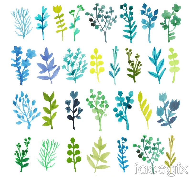 800x743 Free Download Watercolor Branches And Flowers Vector Free