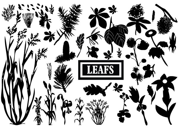 600x450 Huge Collection Of Free Plants Animals Insect Vectors Creative